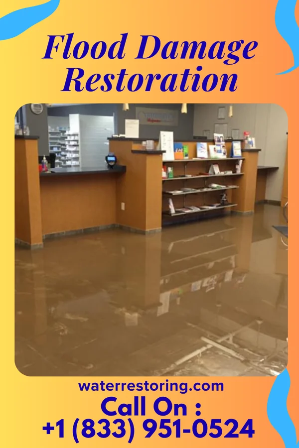 Flood Damage Restoration in Mount Auburn, IN