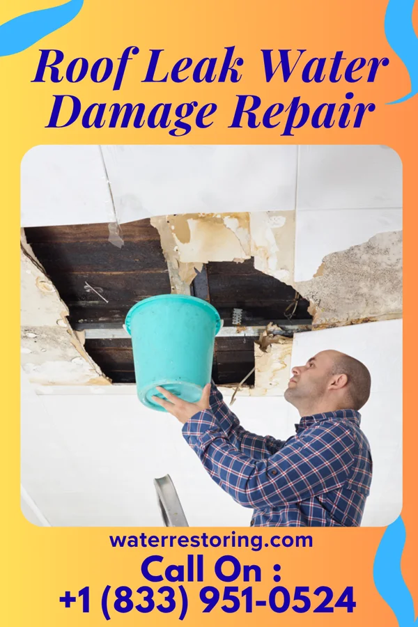 Roof Leak Water Damage Repair in Mount Auburn, IN