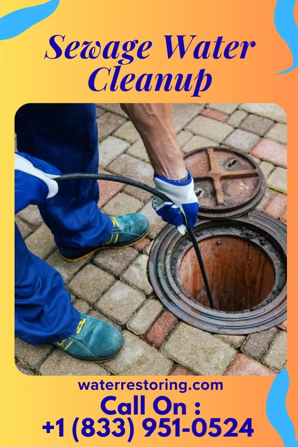 Sewage Water Cleanup in Mount Auburn, IN